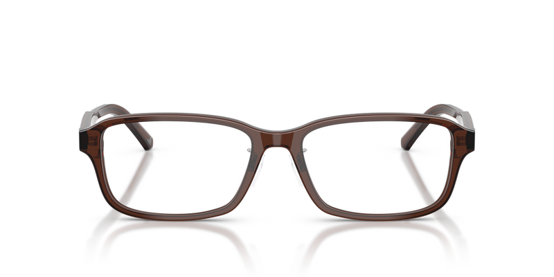 Emporio Armani EA3215D in Shiny Transparent Brown - Alternate View
