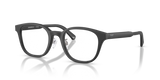 Matte Black / Demo Lens (5001)