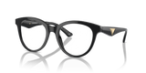 Shiny Black / Demo Lens (5017)