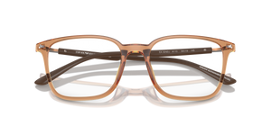 Shiny Transparent Brown / Demo Lens (6110)