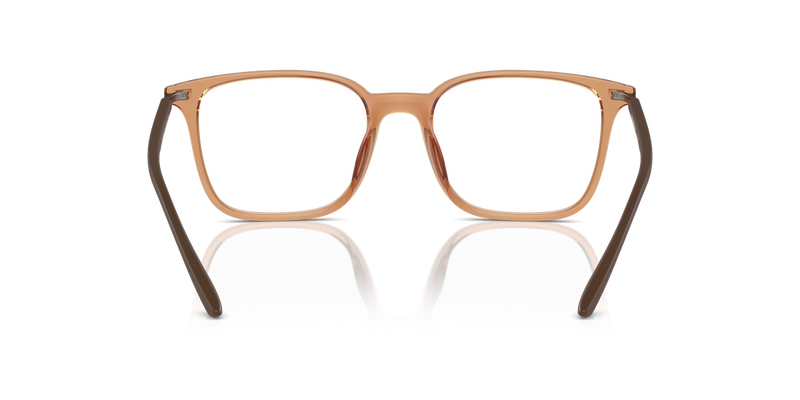 Emporio Armani EA3242U in Shiny Transparent Brown / Demo Lens (6110) - Alternate View