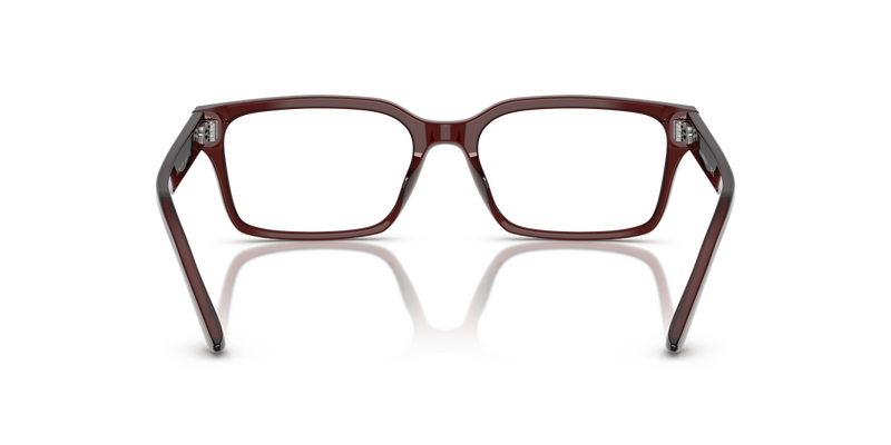 Emporio Armani EA3244 in Transparent Brown / Demo Lens (6174) - Temple Detail