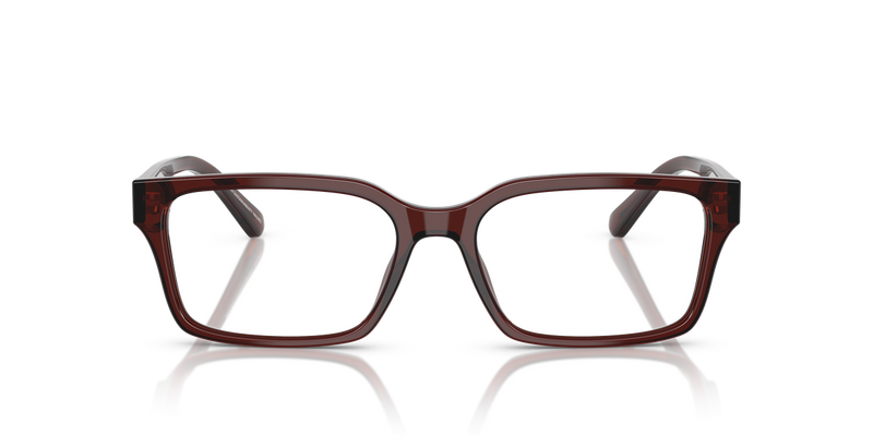 Emporio Armani EA3244 in Transparent Brown / Demo Lens (6174) - Alternate View