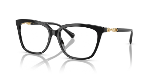 Shiny Black / Demo Lens (5017)