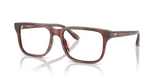 Shiny Havana Brown / Demo Lens (6203)