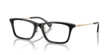 Shiny Black / Demo Lens (5017)