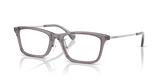 Transparent Grey / Demo Lens (6206)