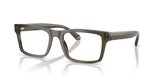 Shiny Transparent Grey / Demo Lens (6249)
