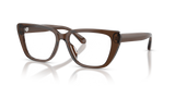 Shiny Transparent Brown / Demo Lens (6251)