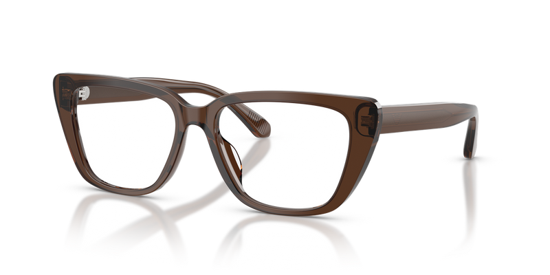 Emporio Armani EA3256U in Shiny Transparent Brown - Alternate View