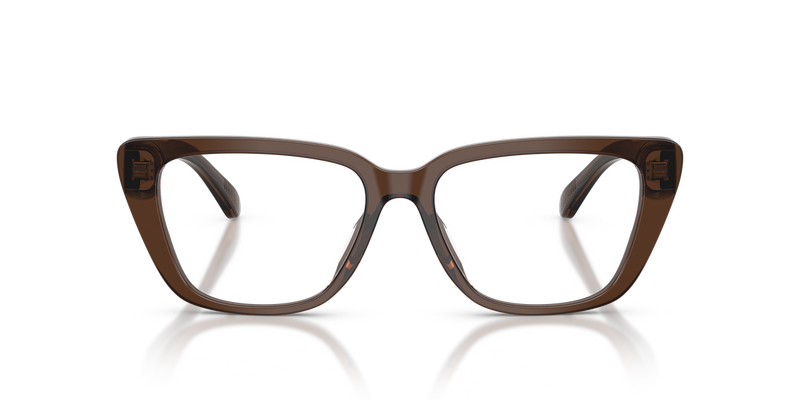 Emporio Armani EA3256U in Shiny Transparent Brown - Alternate View
