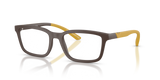 Matte Brown / Demo Lens (6258)
