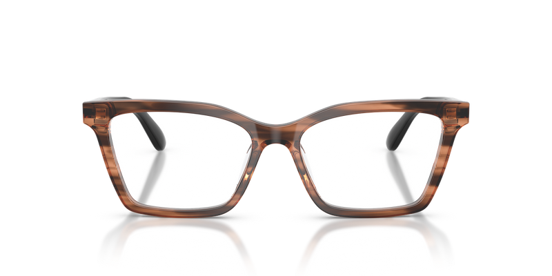 Emporio Armani EA3261U in Shiny Striped Brown - Alternate View