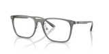 Shiny Transparent Grey / Demo Lens (6106)