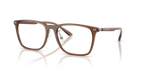 Shiny Transparent Brown / Demo Lens (6282)