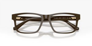 Shiny Brown / Demo Lens (6307)