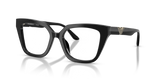 Shiny Black / Demo Lens (5017)