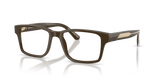 Shiny Brown / Demo Lens (6307)