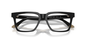 Black/Beige / Demo Lens (6313)