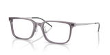 Shiny Transparent Grey / Demo Lens (5029)