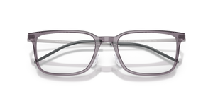 Shiny Transparent Grey / Demo Lens (5029)