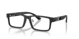 Matte Black / Demo Lens (5001)