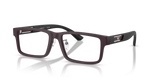 Matte Plum / Demo Lens (6371)