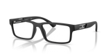Matte Black / Demo Lens (5001)