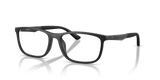 Matte Black / Demo Lens (5001)