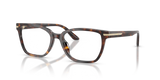 Shiny Havana / Demo Lens (5026)