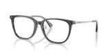 Shiny Transparent Grey / Demo Lens (5029)