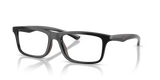 Shiny Black/Brown Rubber / Demo Lens (5017)