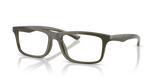 Shiny Green/Green Rubber / Demo Lens (6449)