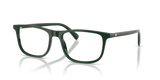 Shiny Green / Demo Lens (6173)