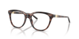 Shiny Havana Tundra / Demo Lens (6461)