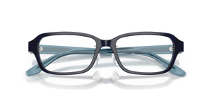 Shiny Transparent Blue / Demo Lens (5358)