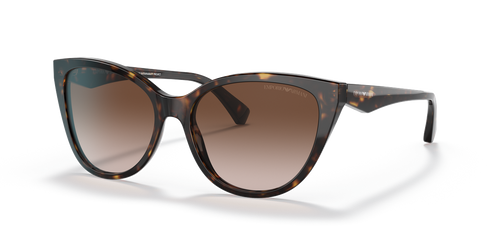 Havana / Gradient Brown (587913)