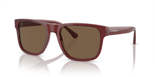 Transparent Bordeaux / Dark Brown (507573)