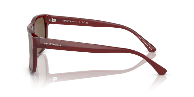 Emporio Armani EA4163 in Transparent Bordeaux / Dark Brown (507573) - Back View