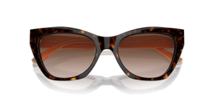 Shiny Havana / Gradient Brown (587913)