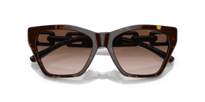 Shiny Havana / Gradient Brown (502613)