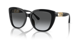 Shiny Black / Polarized Grey Gradient (50178G)