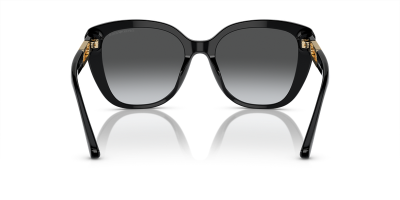 Emporio Armani EA4214U in Shiny Black - Temple Detail