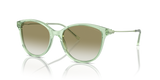 Shiny Transparent Green / Gradient Green (61078E)
