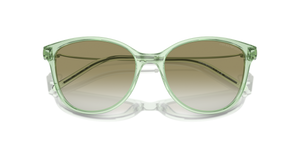 Shiny Transparent Green / Gradient Green (61078E)