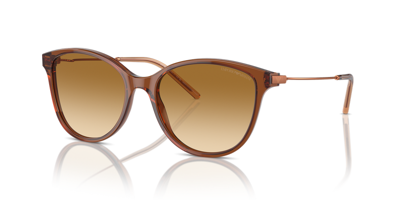 Emporio Armani EA4220 in Shiny Transparent Light Brown - Alternate View