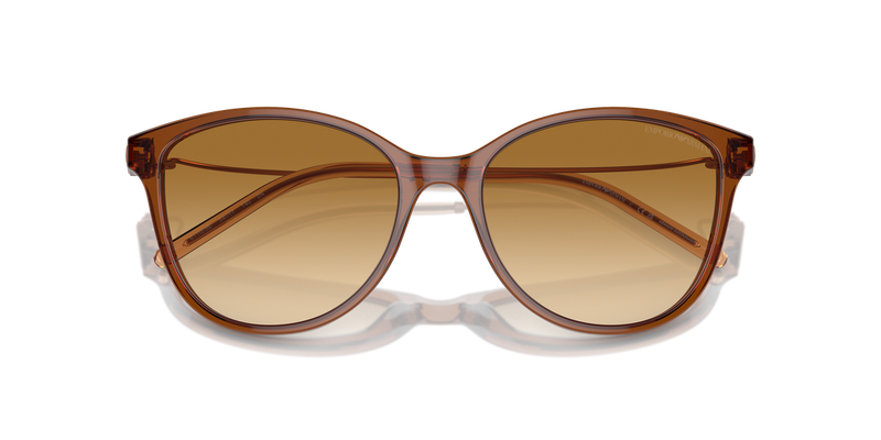 Emporio Armani EA4220 in Shiny Transparent Light Brown - Alternate View