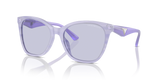 Shiny Striped Lilac / Lillac (61131A)
