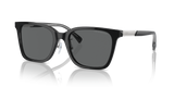 Shiny Black / Dark Grey (501787)