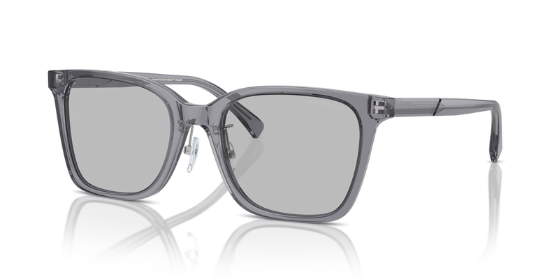 Emporio Armani EA4226D in Shiny Transparent Grey - Alternate View